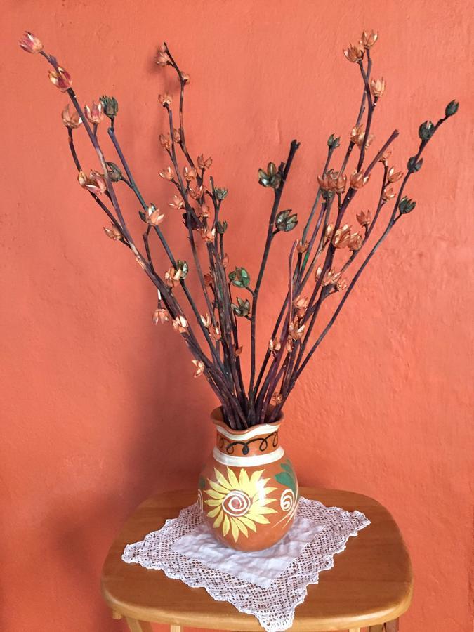 Hacienda Santa Barbara Casa Malinche Hotel กัวมานตลา ภายนอก รูปภาพ
